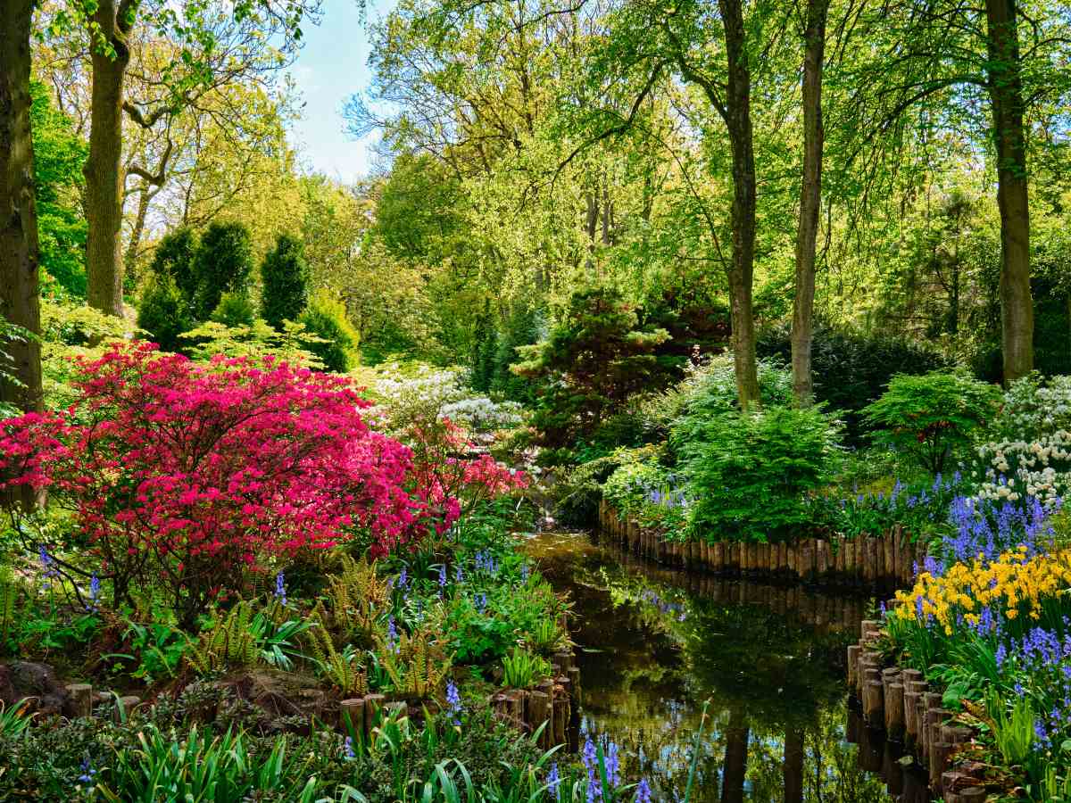 I giardini del Keukenhof