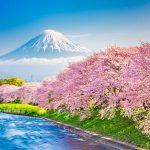 Giappone