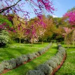 Giardino di Ninfa nel Lazio