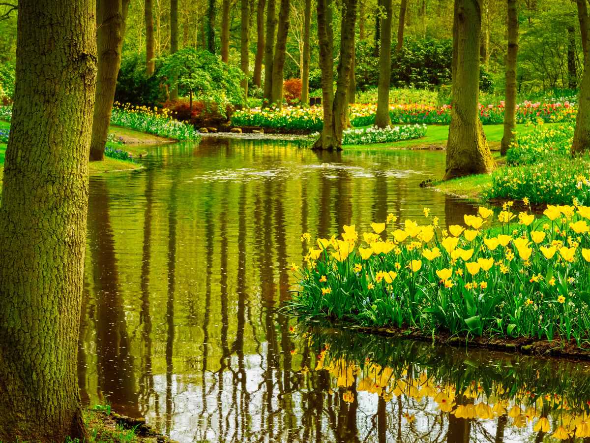 Keukenhof, un capolavoro dei Paesi Bassi