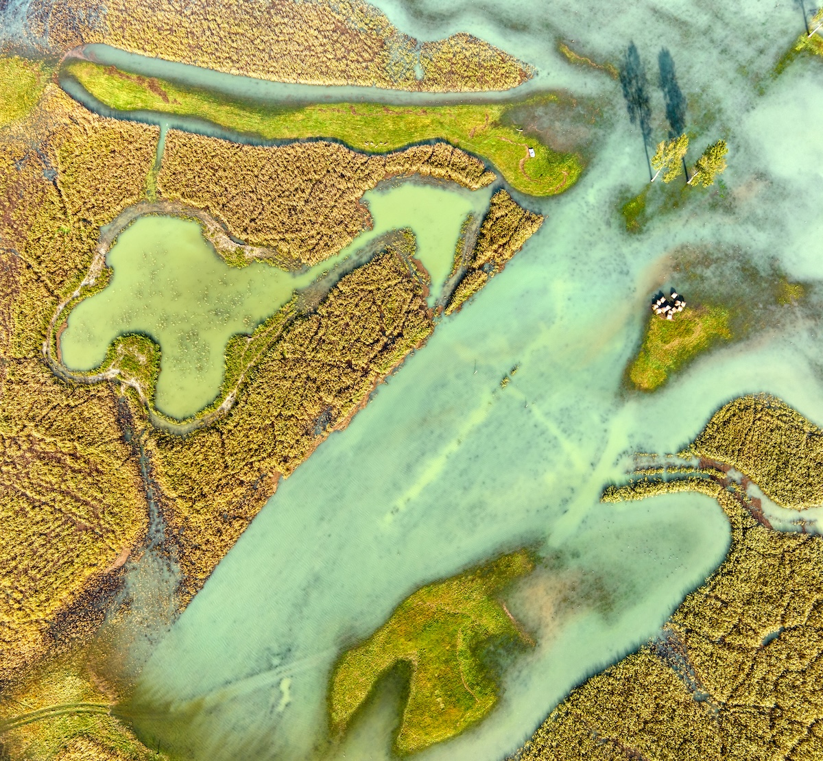 Riserva-Pian-di-Spagna-Lago-Mezzola_Martegani
