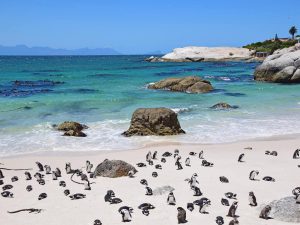 Spiagge più particolari del mondo 2026