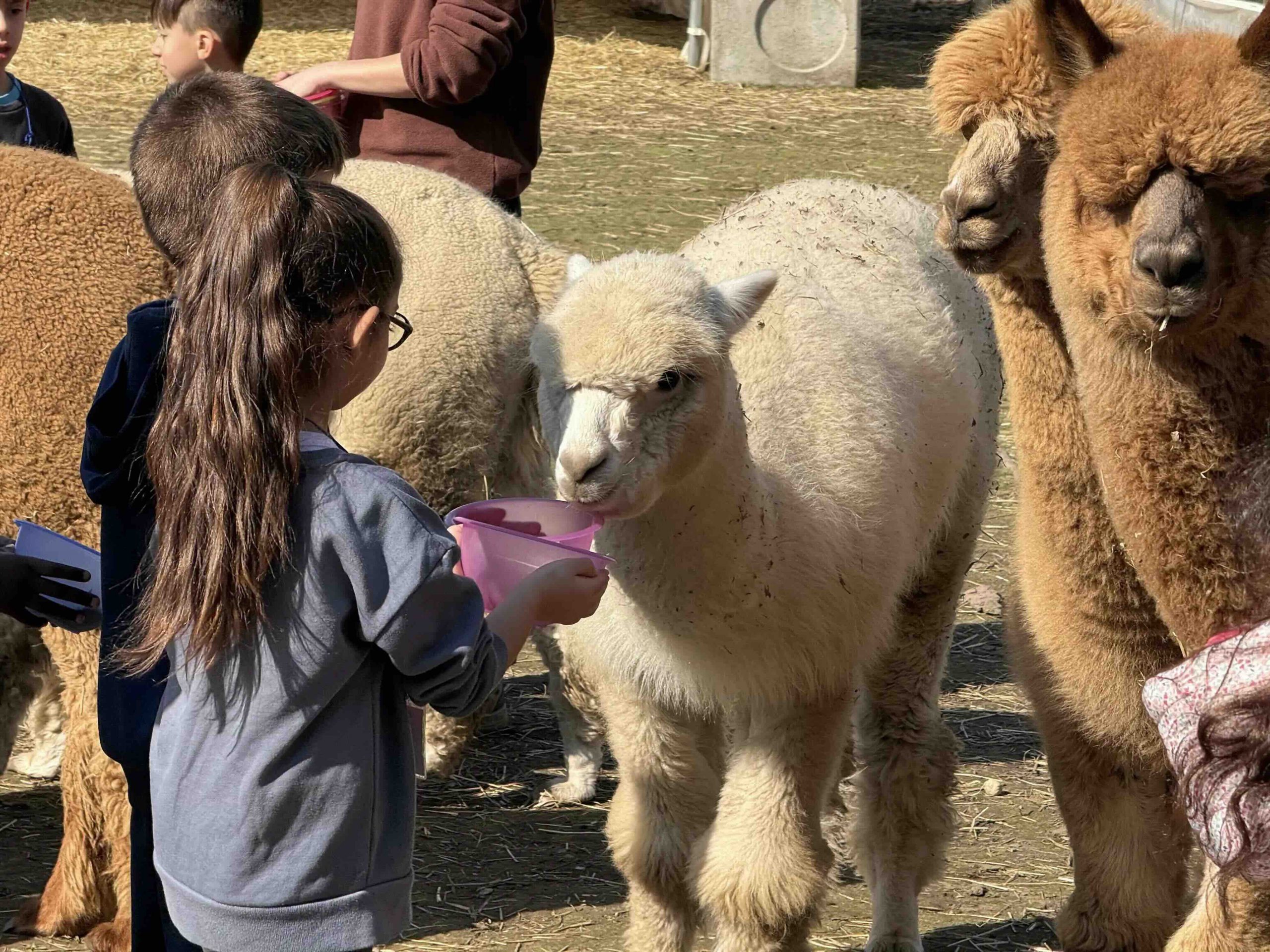 Pasqua con i bambini
