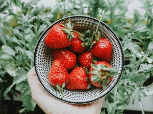 Dieta di primavera