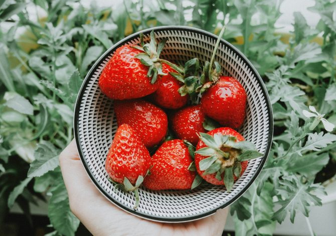 Dieta di primavera