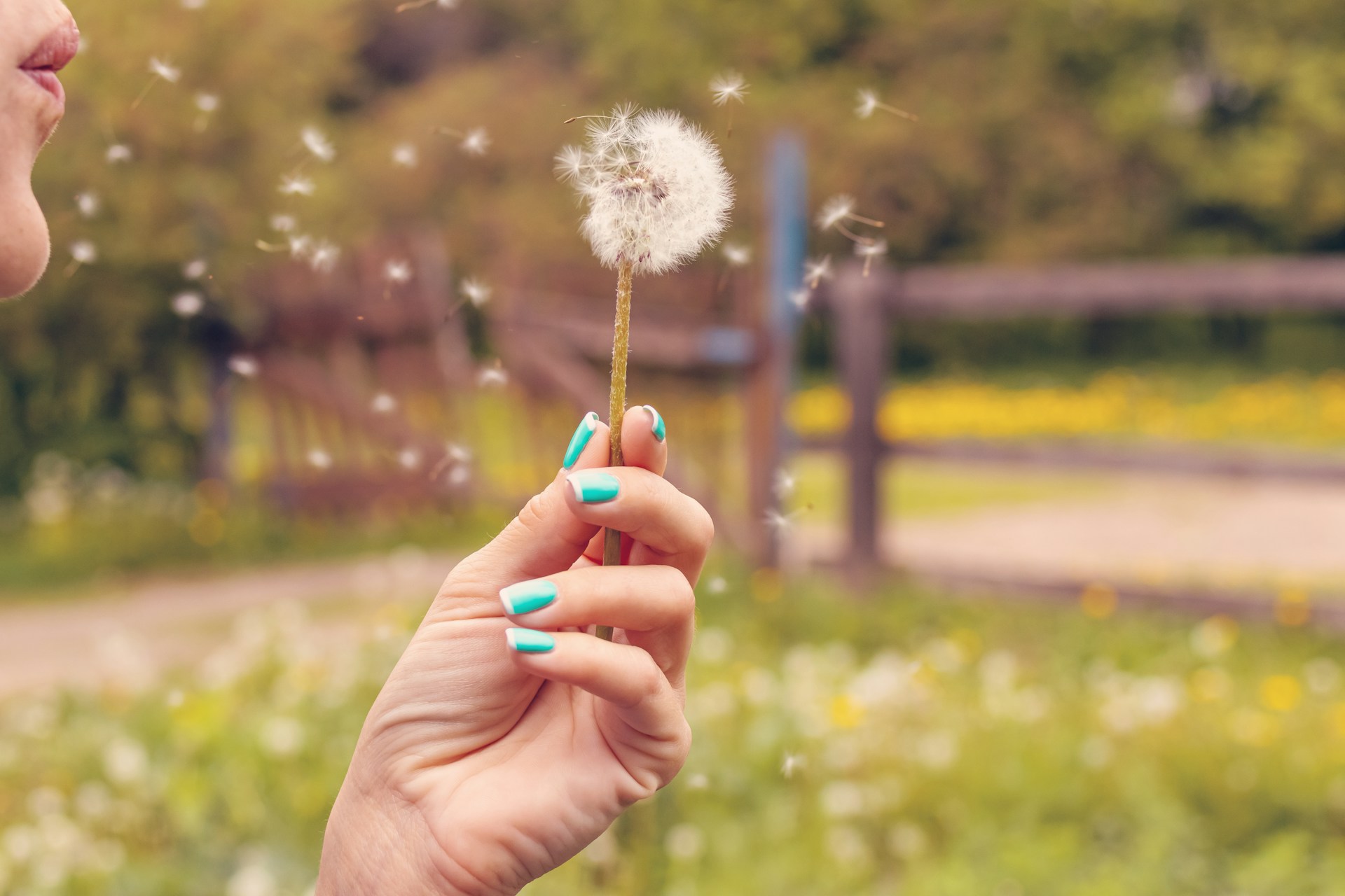 Allergie primaverili e sport