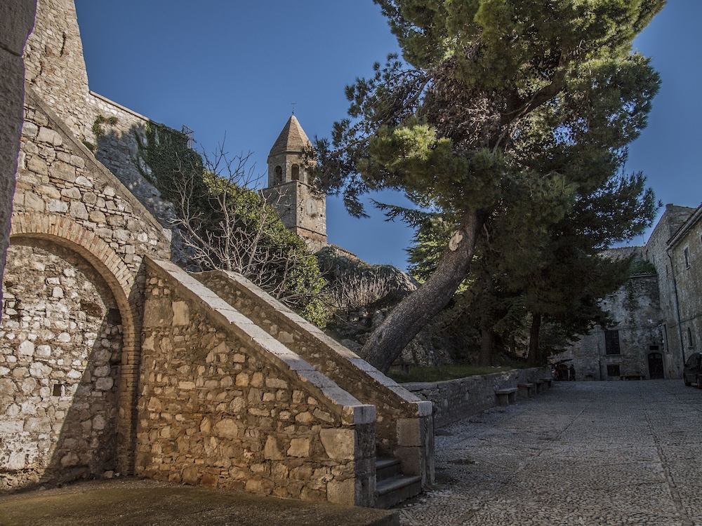 bovino-centro