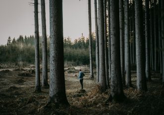 Forest bathing