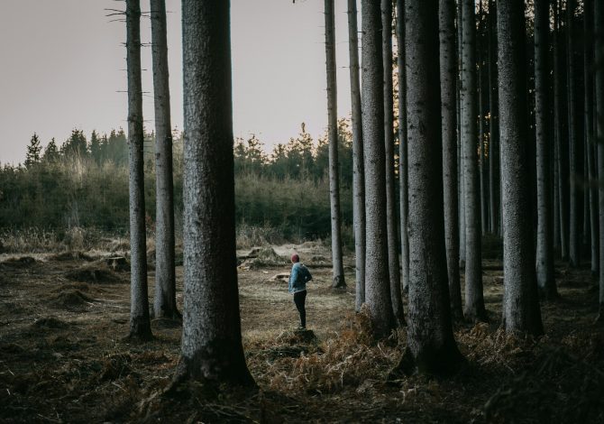Forest bathing