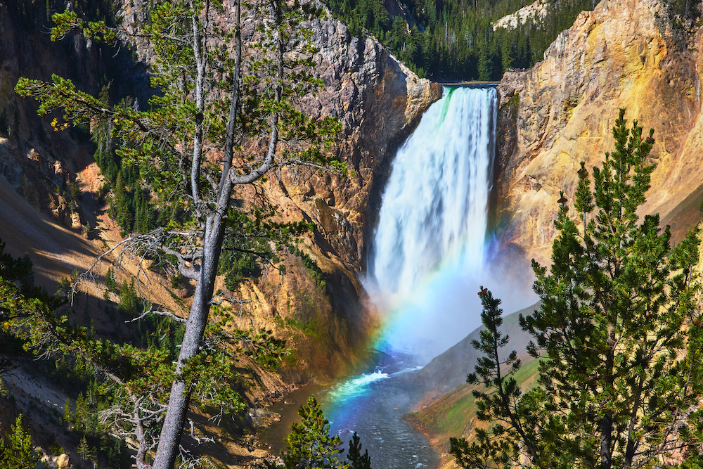 yellowstone-parco