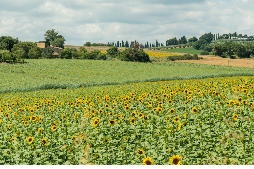 castiglione-lago-umbria
