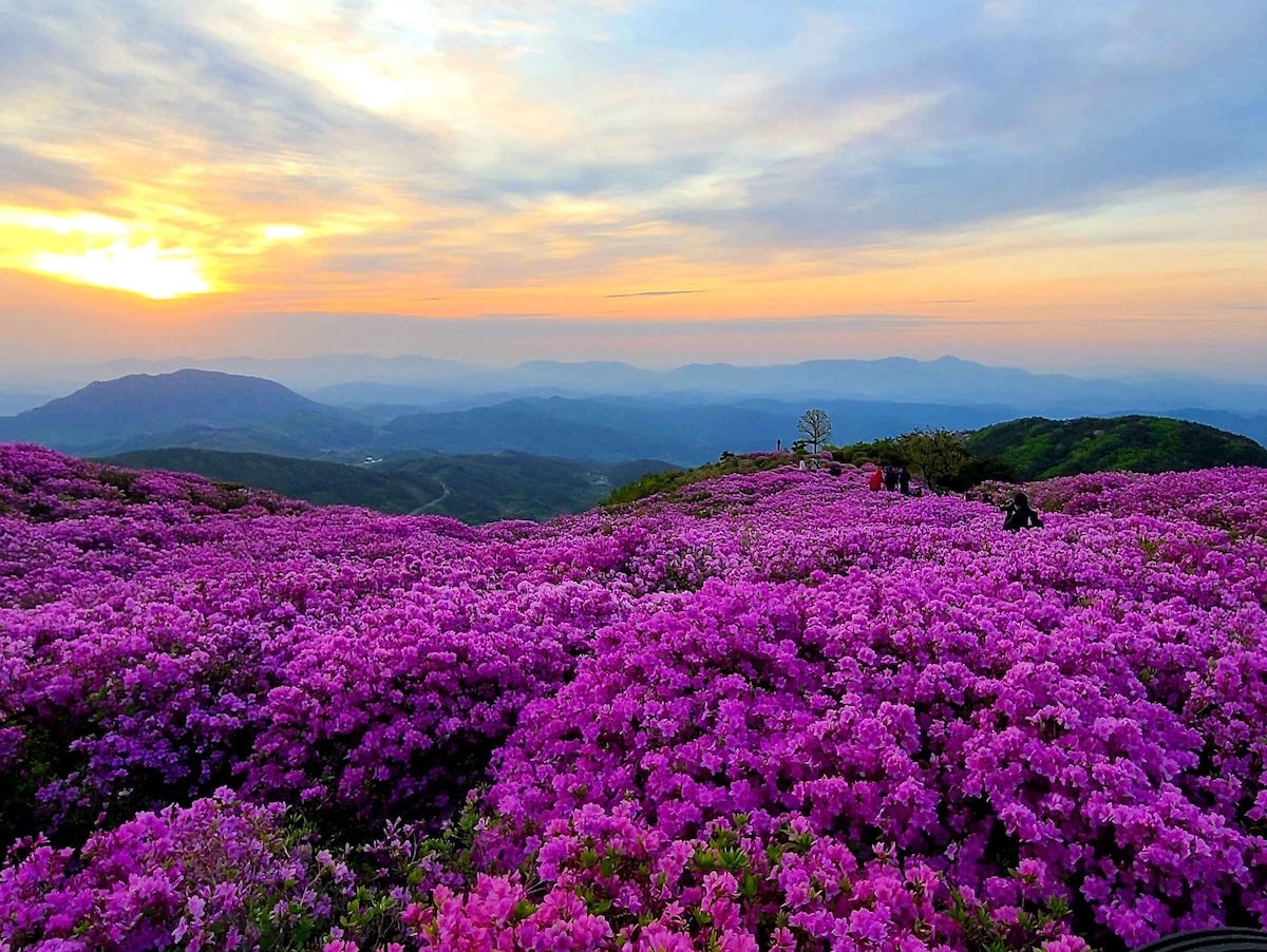 corea-Hwangmaesan-Mountain