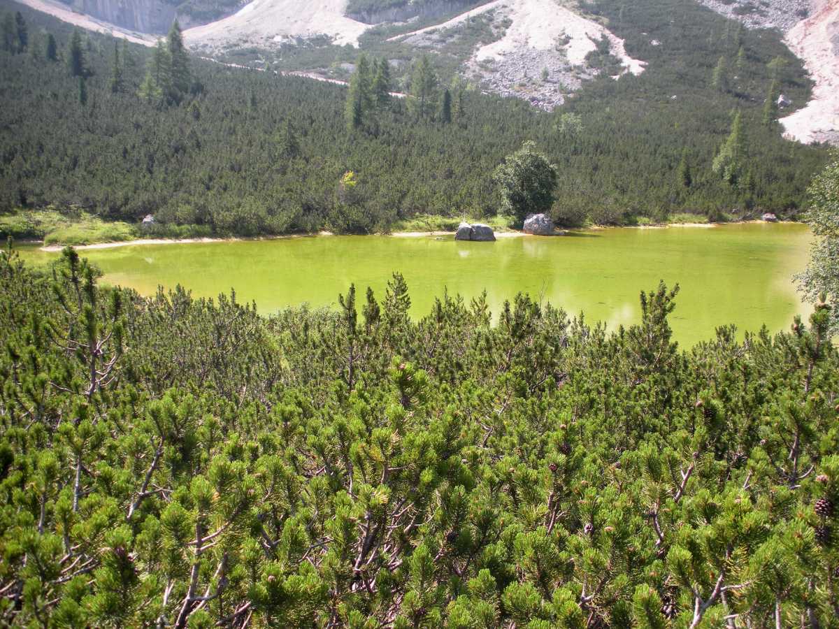 Lago Piciodel, Alpe di Fanes