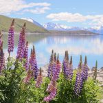 Lake Tekapo