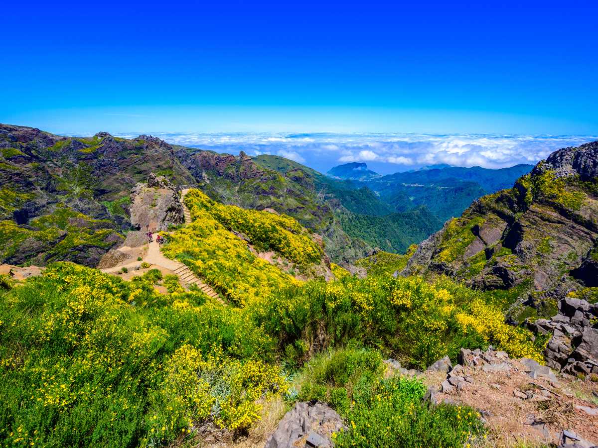 Riapre il PR1 di Madeira