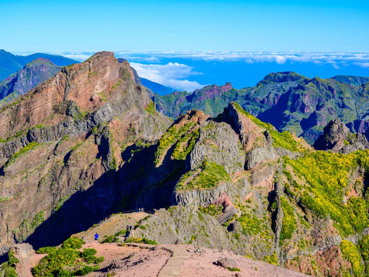 Pico Ruvio, Madeira