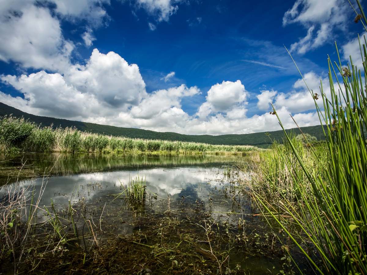 Riserva Naturale Lago di Vico, Tuscia
