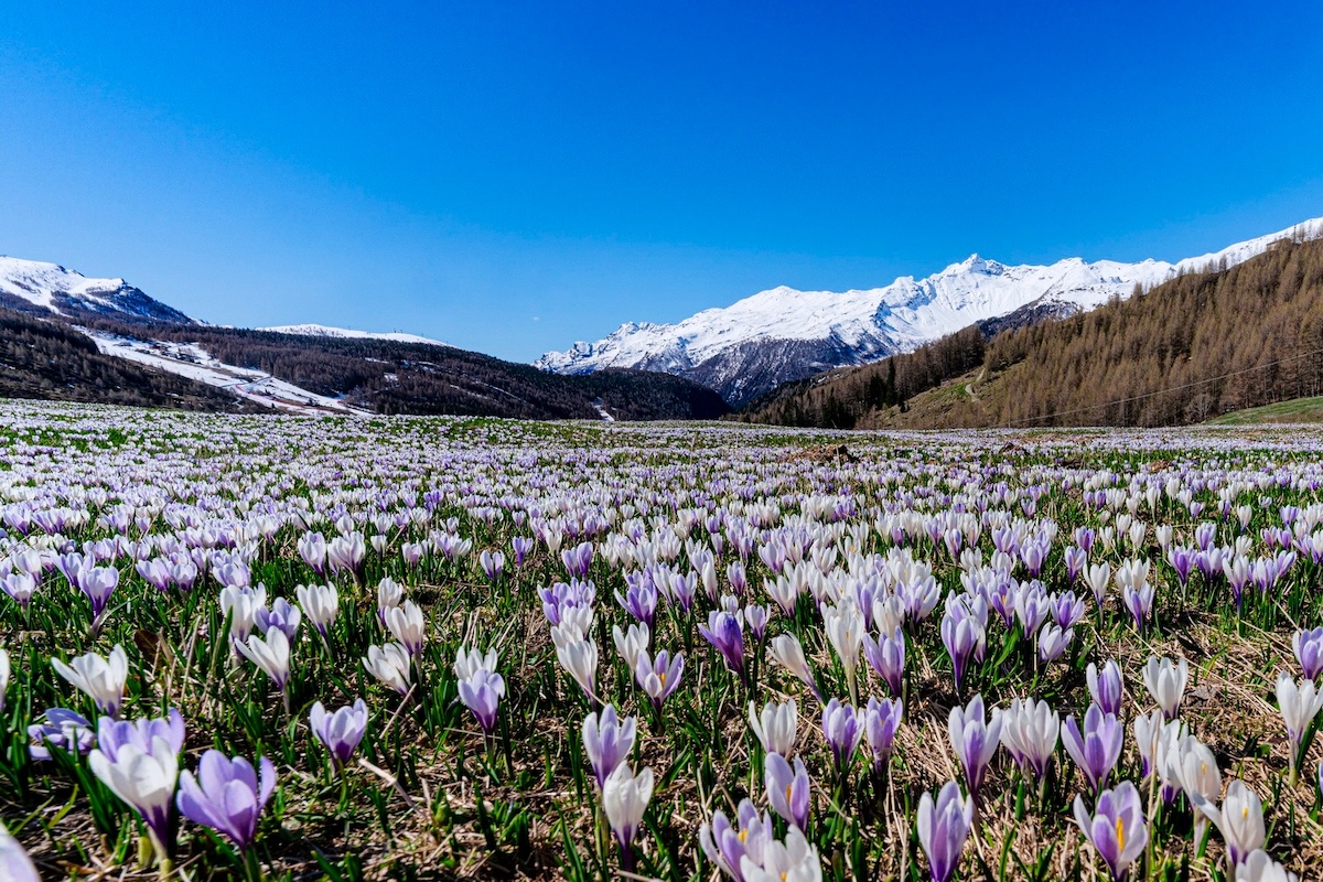 valtellina-crochi