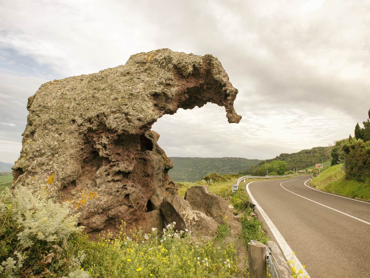 La Roccia dell'Elefante di Castelsardo