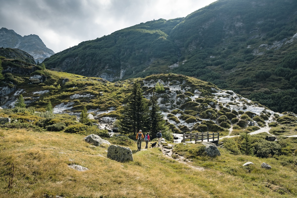 Binn-trekking