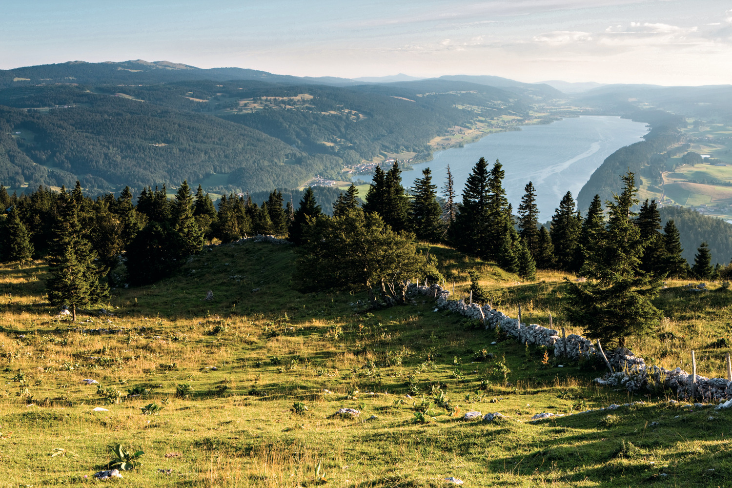 Jura Vaudois
