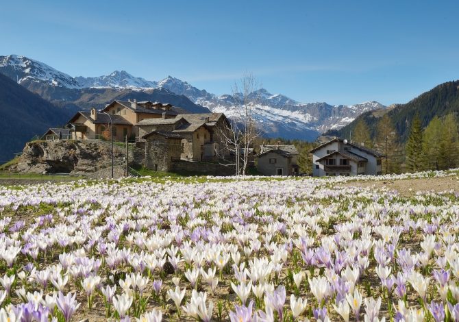 hanami-valtellina-camminate