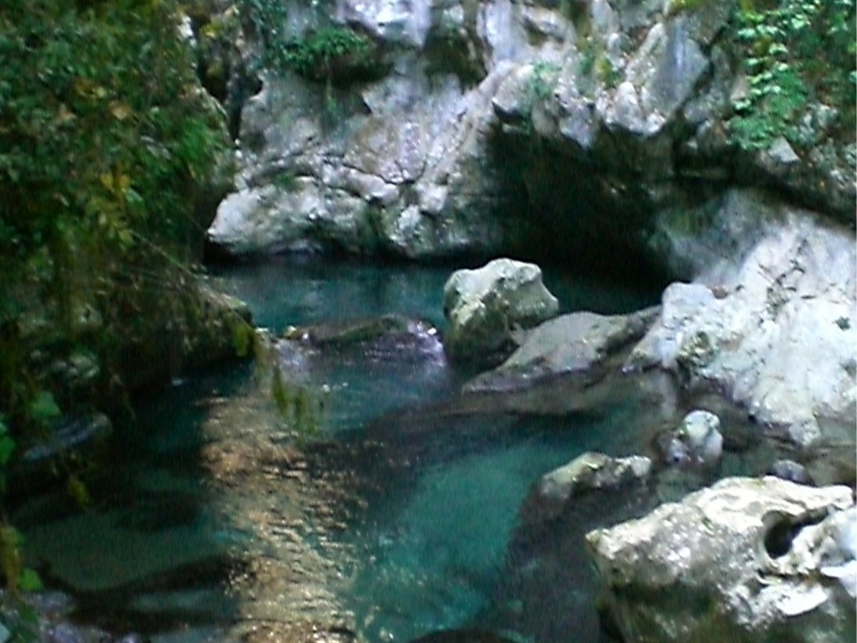 Vegetazione nelle Grotte del Bussento in Campania
