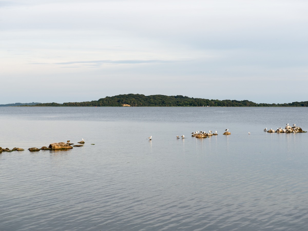 La verdissima Isola di Vilm