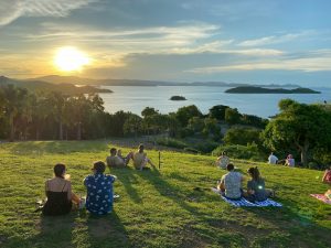 Picnic sano