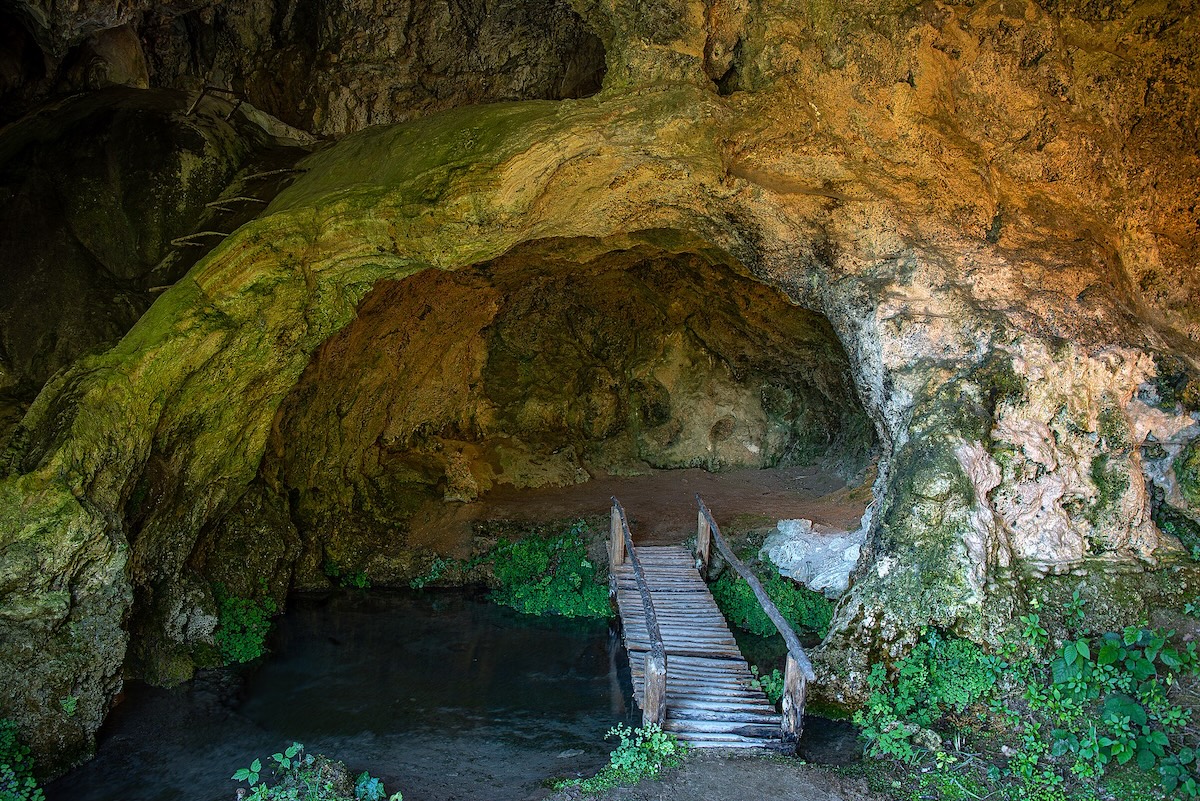 labante-ingresso