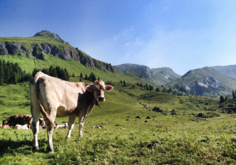 piana-gaver-lombardia