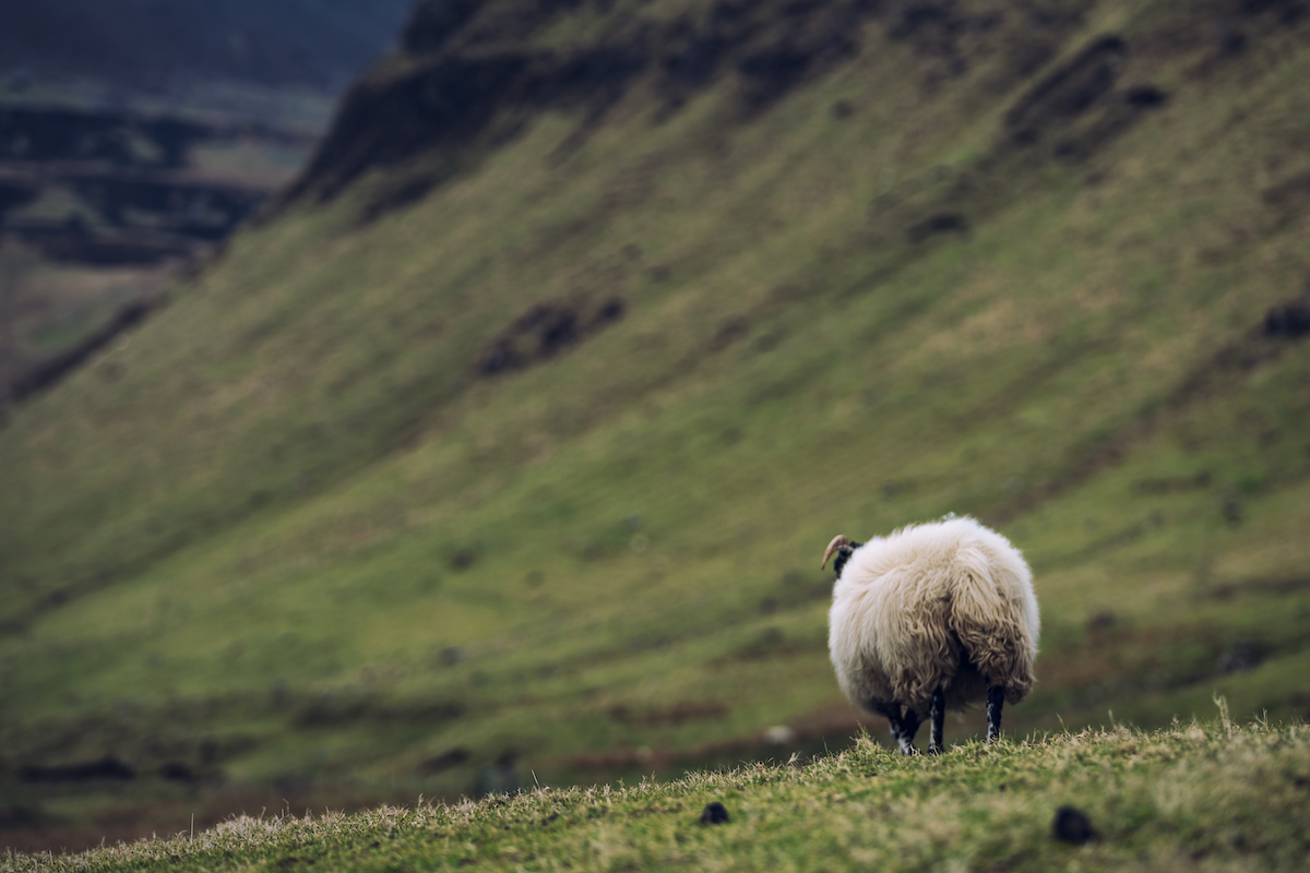 lewis-harris-tweed