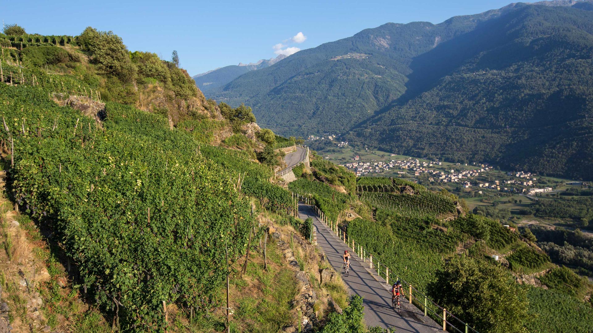 terrazze-valtellina