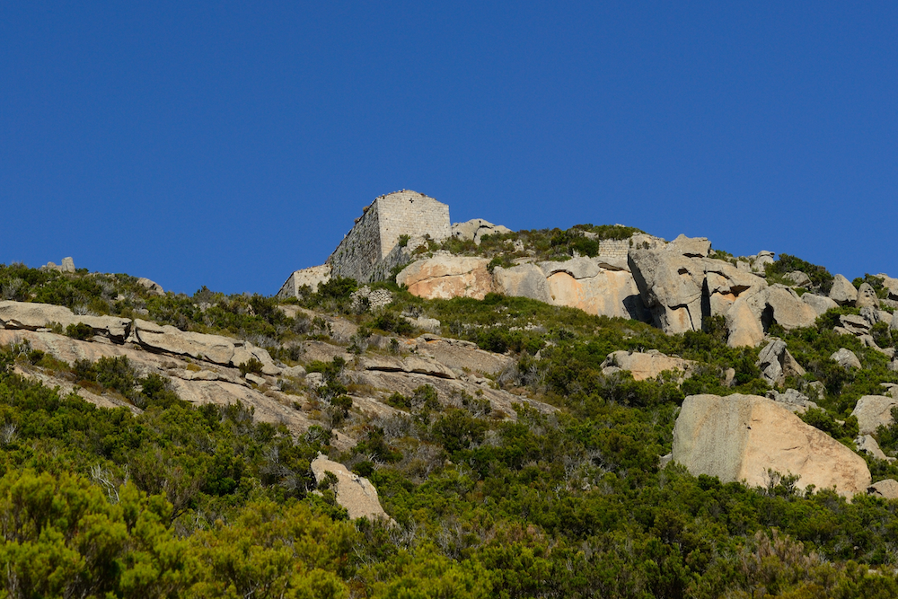 montecristo-isola-come-arrivare-abbazia