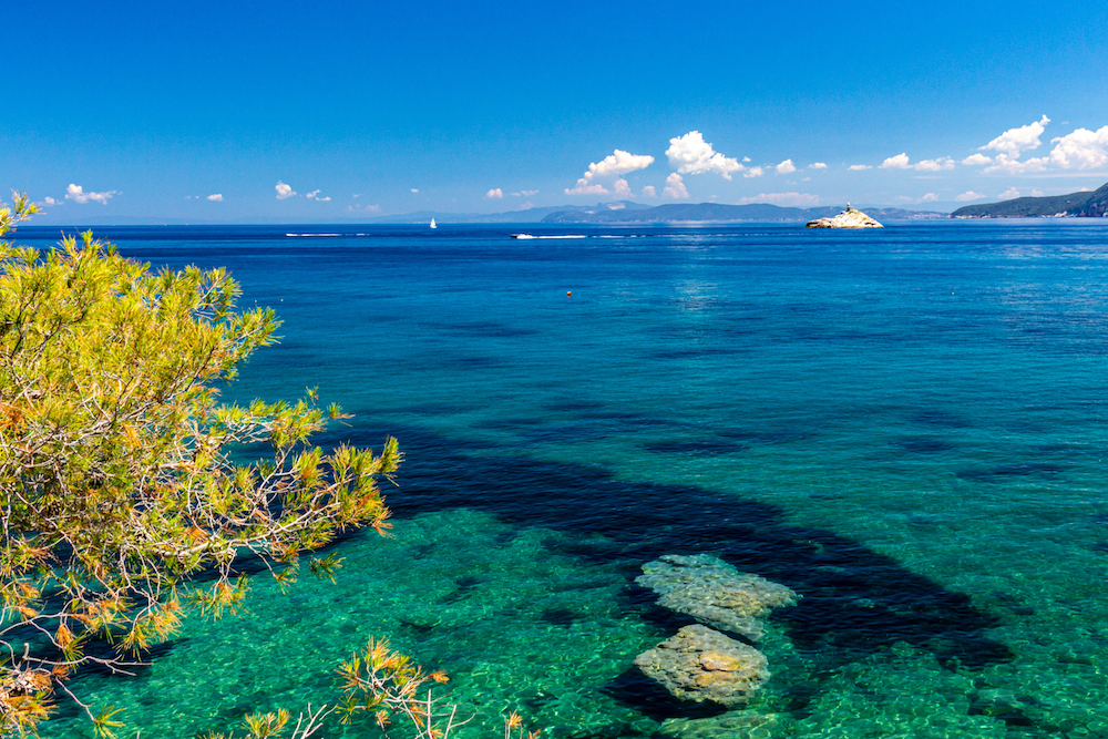 procchio-elba