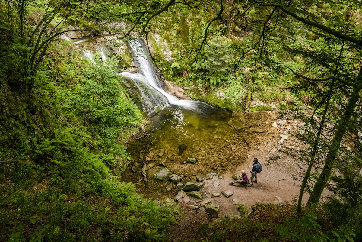 Foresta-nera-trekking