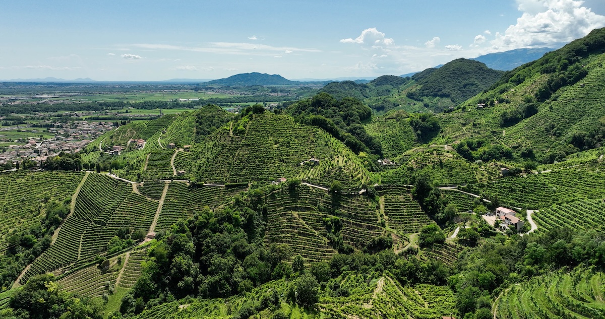 cammino-prosecco-valdobbiadene-sentiero-colline