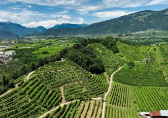 sentiero-prosecco-valdobbiadene-conegliano