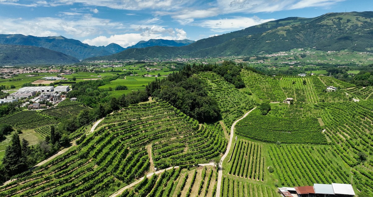 sentiero-prosecco-valdobbiadene-conegliano