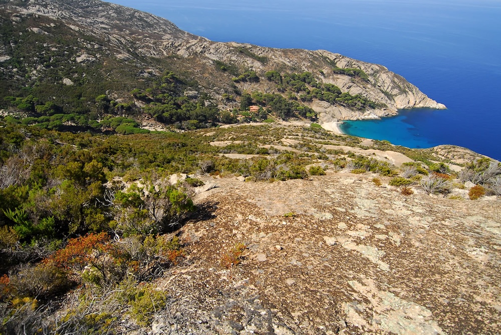 montecristo-isola-toscana