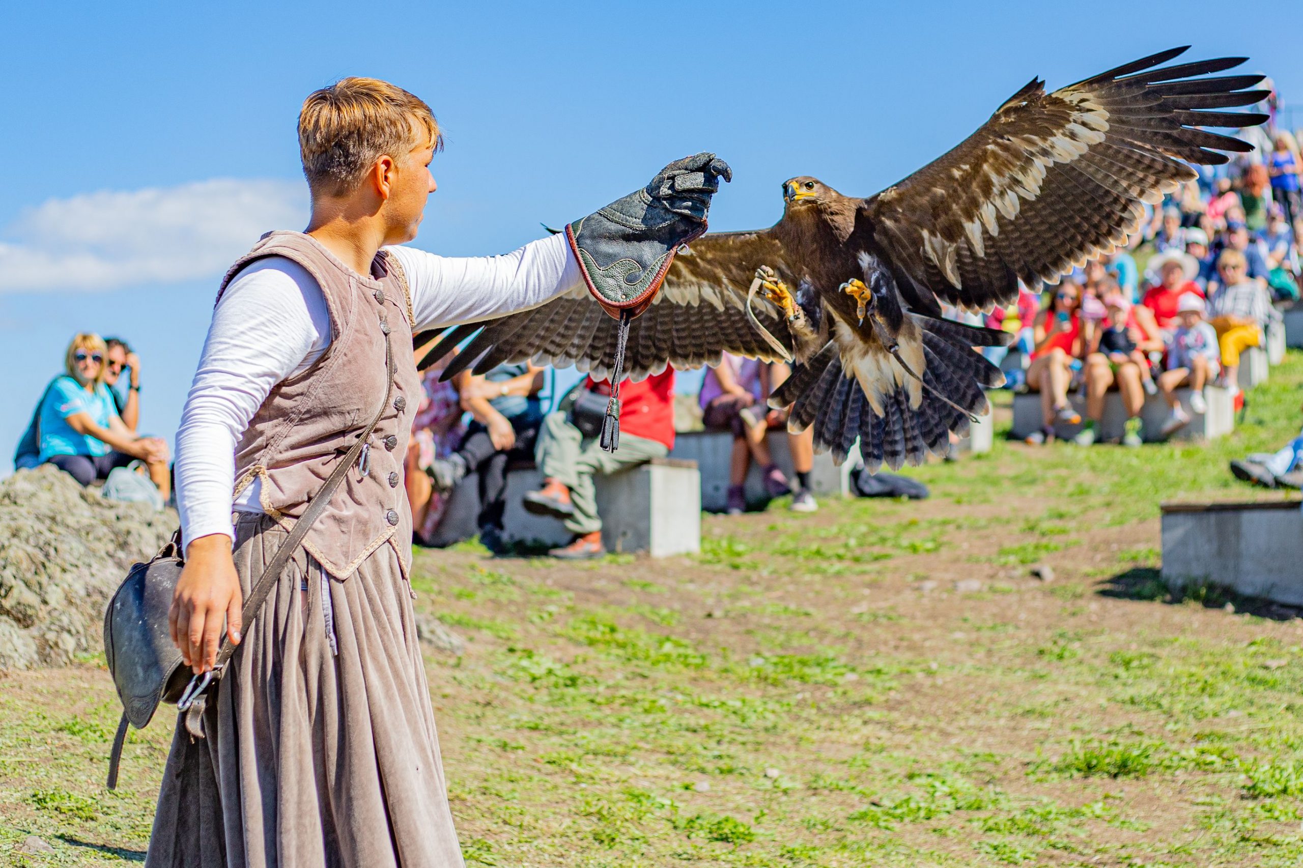Spettacolo di falconeria con aquila in volo fortezza medievale