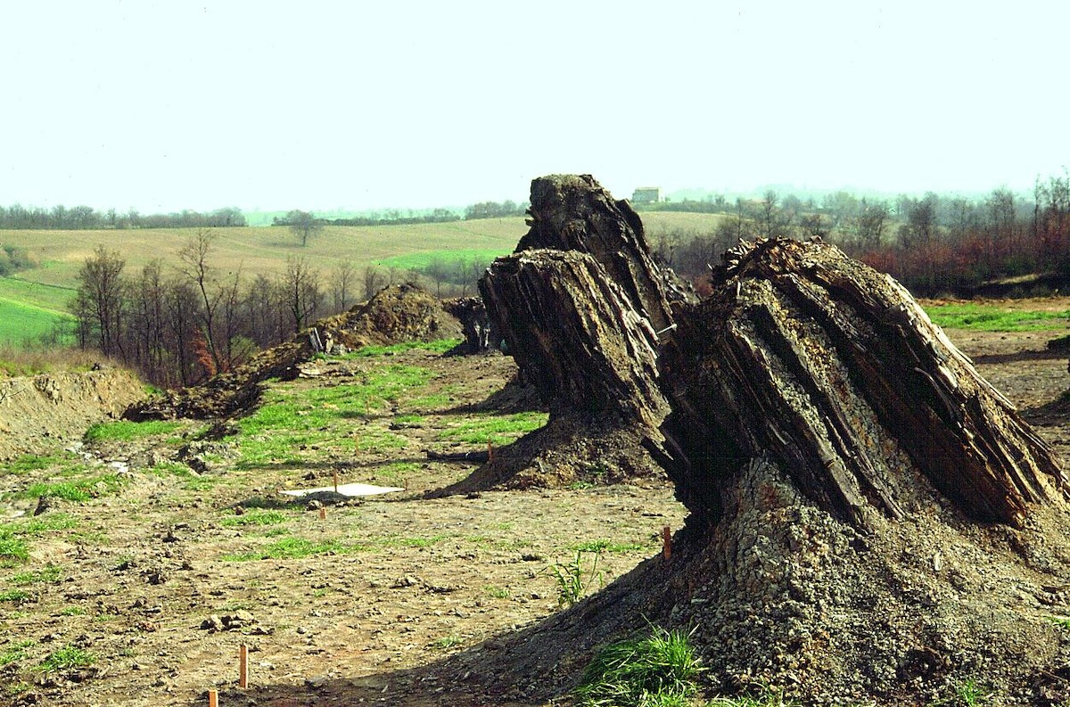 DUNAROBBA