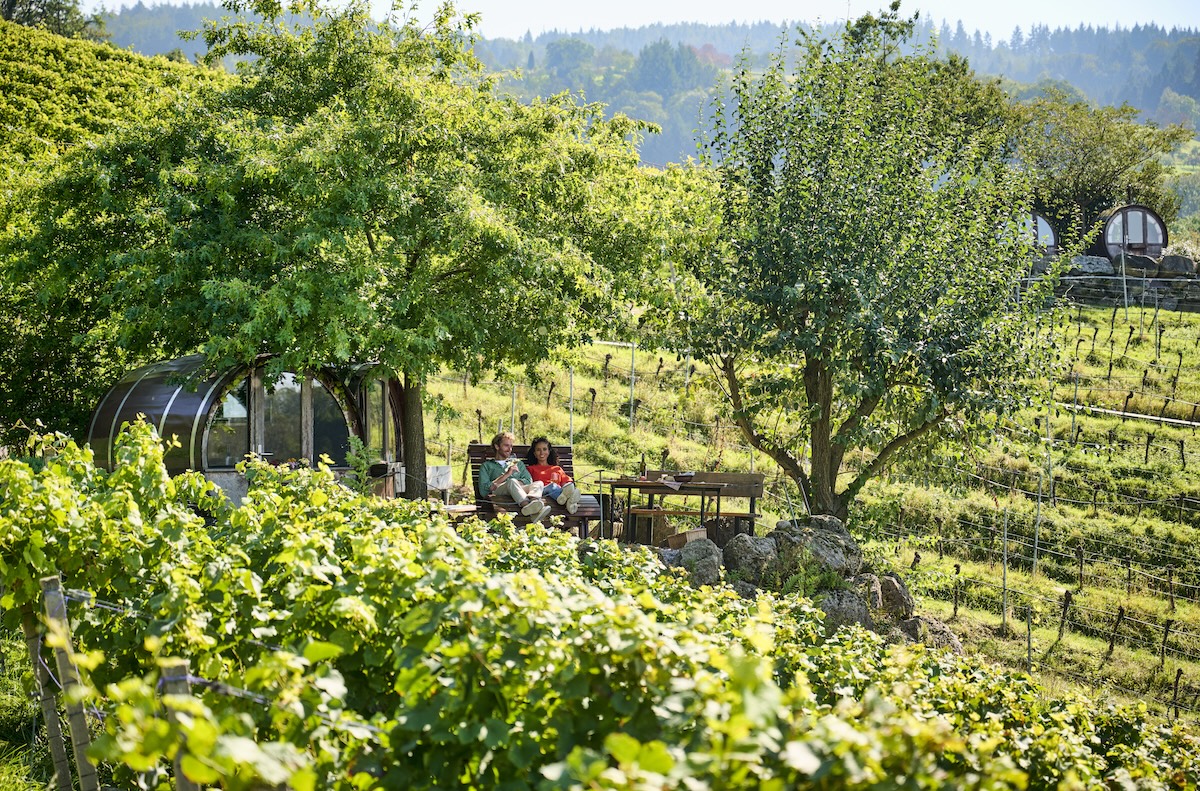 civlovia-vino-baden-germania