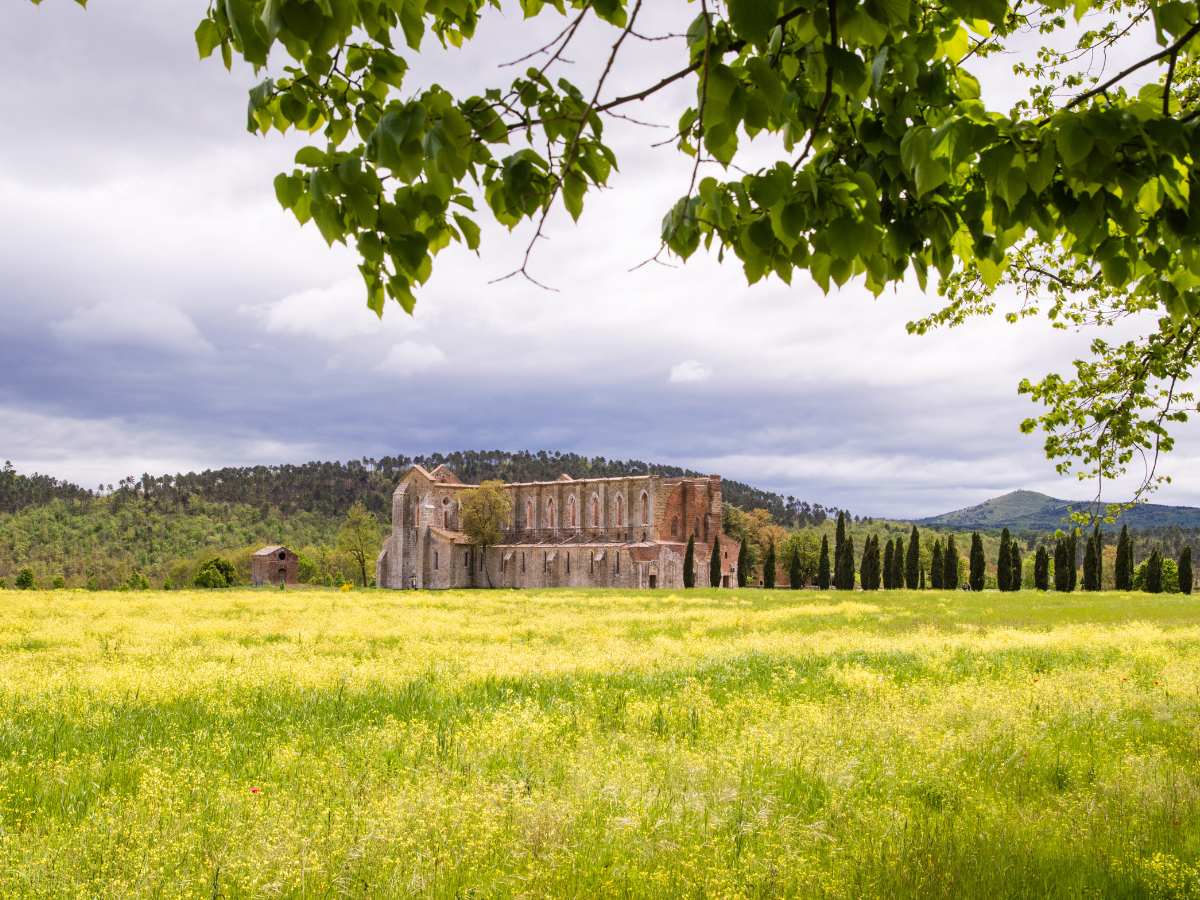 Il paesaggio dell'Abbazia di San Galgano