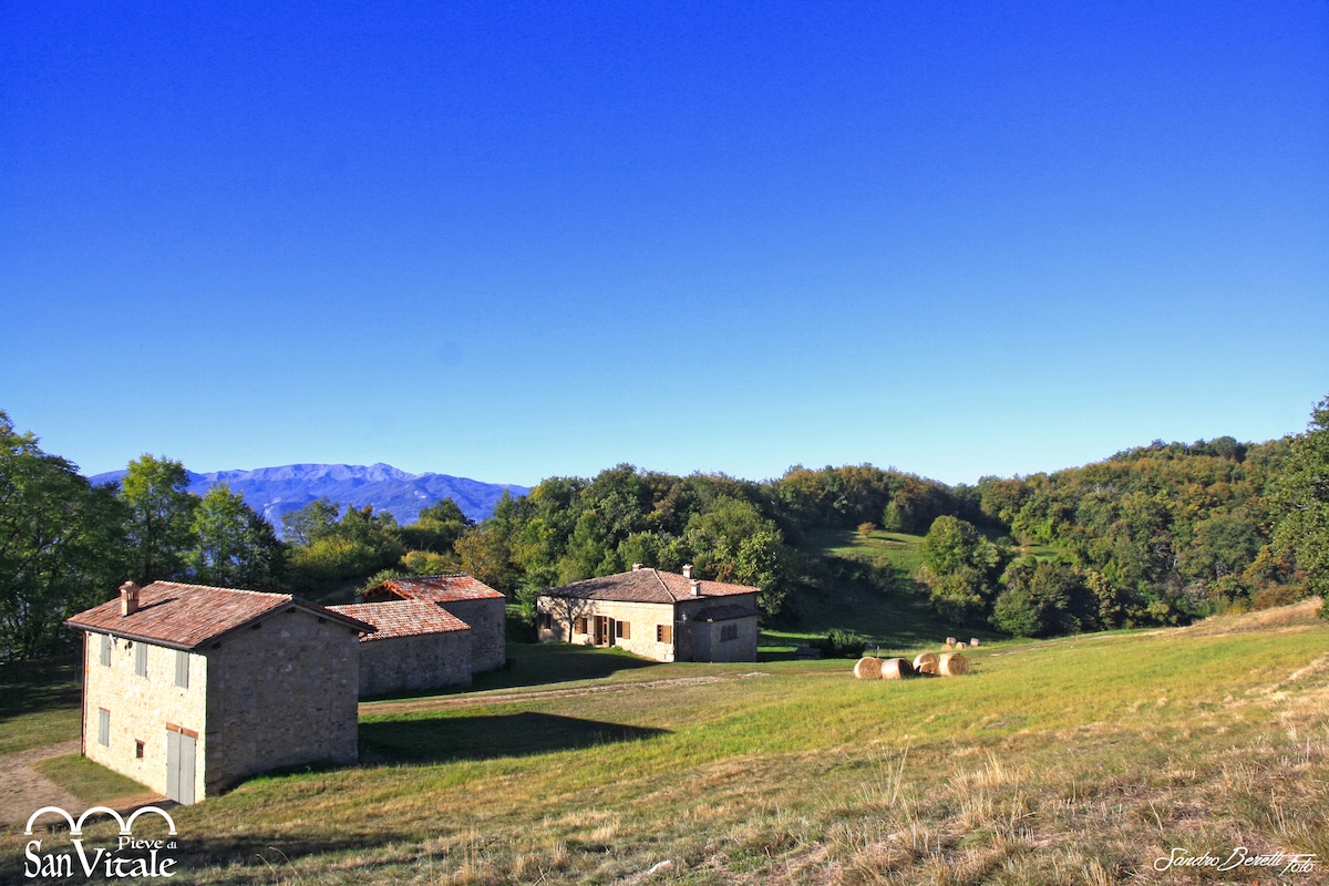 Pieve di San Vitale a Carpineti (RE) (1)