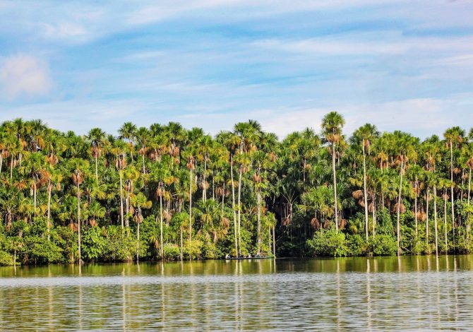 Reserva Nacional de Tambopata.