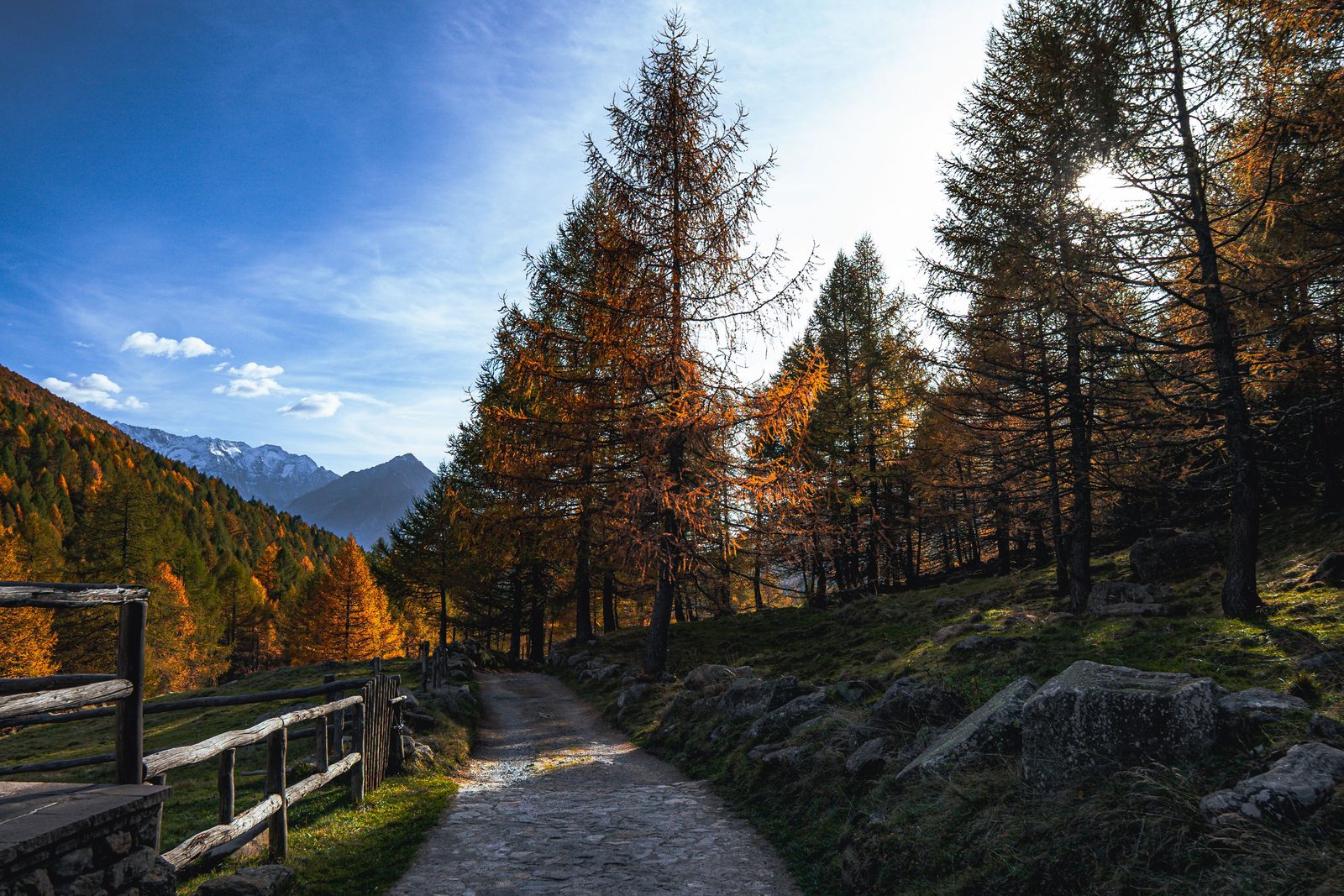 Sentiero boschivo tra gli alberi che porta alle pozze di Nese in estate Sentiero boschivo tra gli alberi che porta alle pozze di Nese in estate