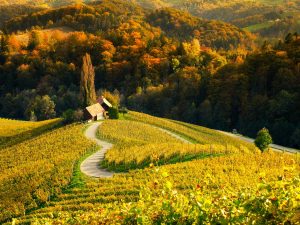 Špičnik, Slovenia