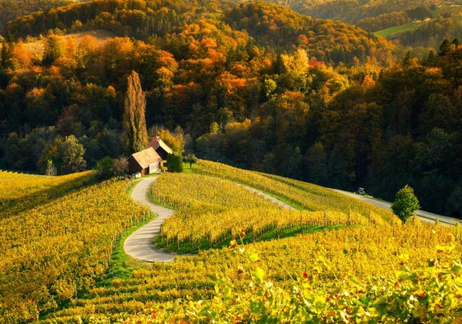 Špičnik, Slovenia