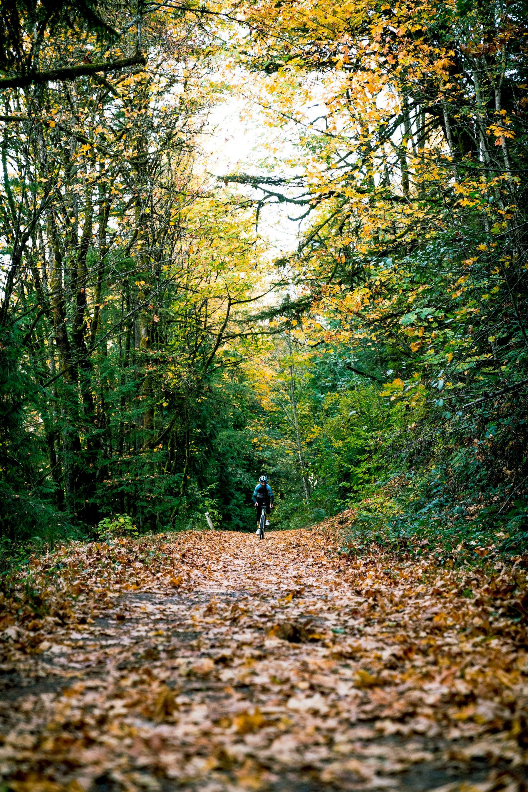 L'autunno è la stagione perfetta per un'avventura gravel: 10 destinazioni per un weekend prima dell'inverno